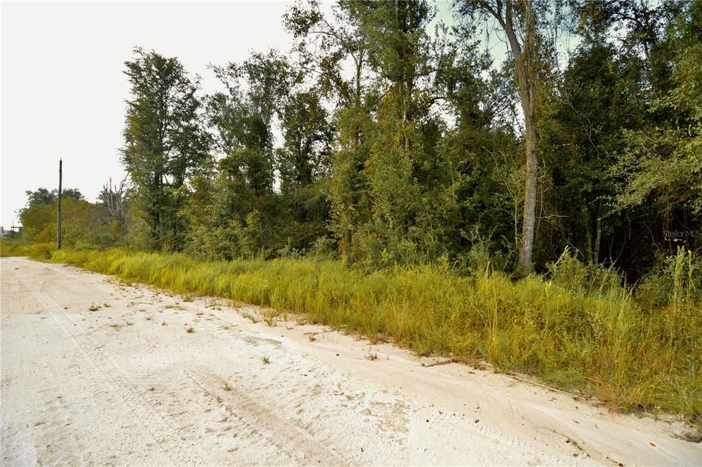 На продажу: $160,000 (10.00 acres)