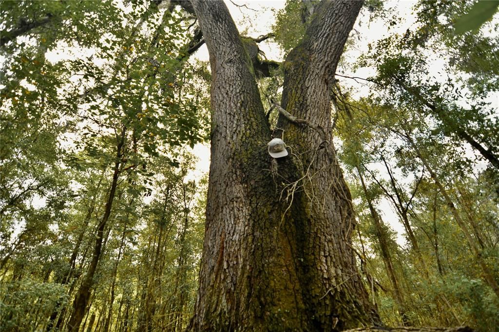 На продажу: $160,000 (10.00 acres)