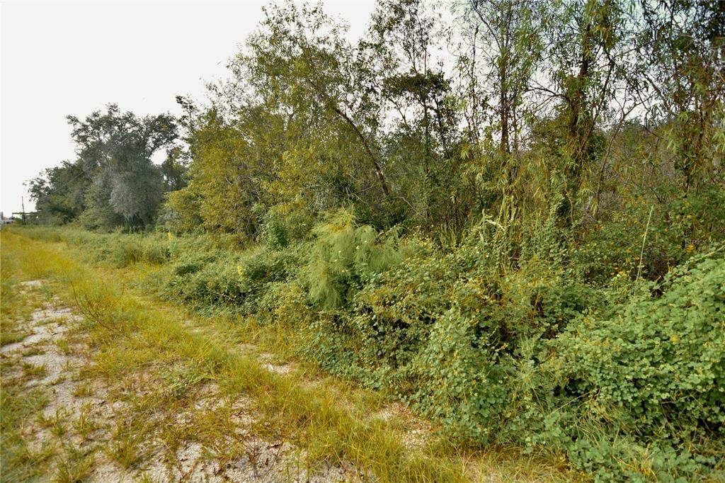 На продажу: $160,000 (10.00 acres)