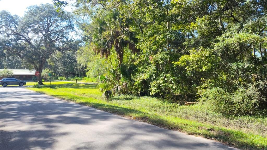 For Sale: $175,000 (1.41 acres)