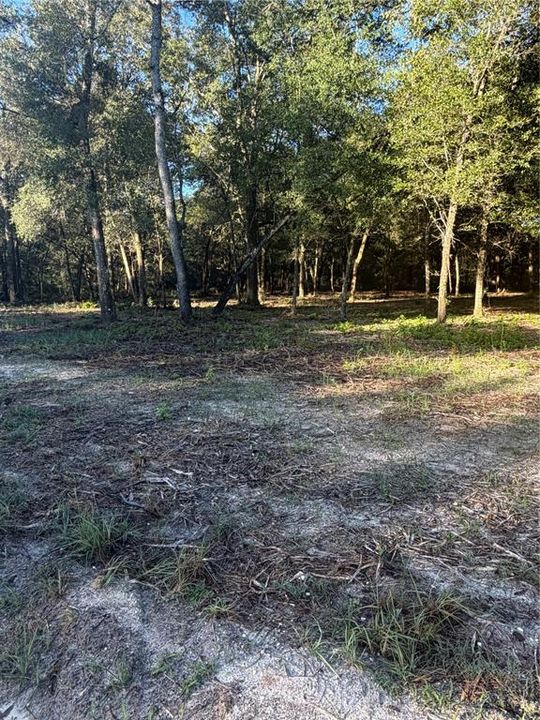For Sale: $19,500 (0.31 acres)