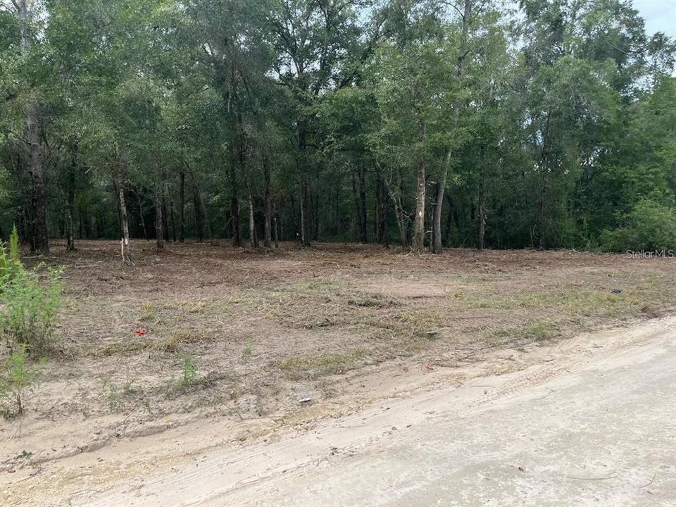For Sale: $19,500 (0.31 acres)