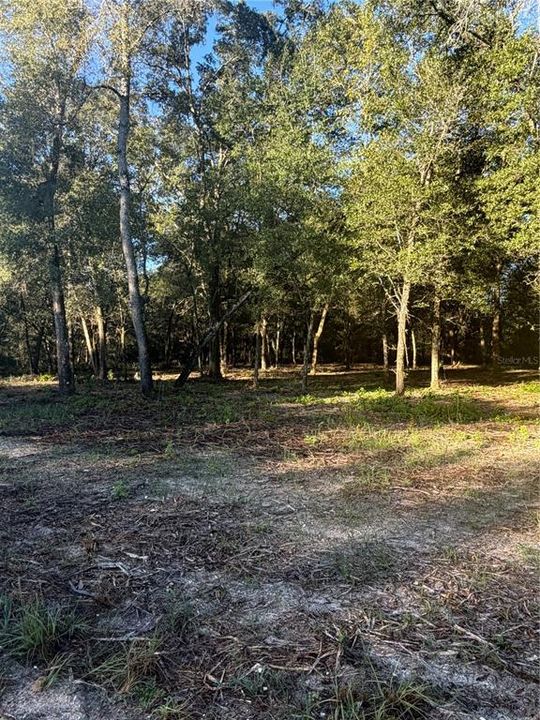 For Sale: $19,500 (0.31 acres)