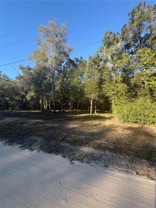 For Sale: $19,500 (0.31 acres)