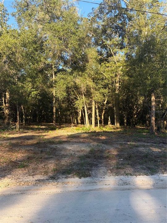 For Sale: $19,500 (0.31 acres)