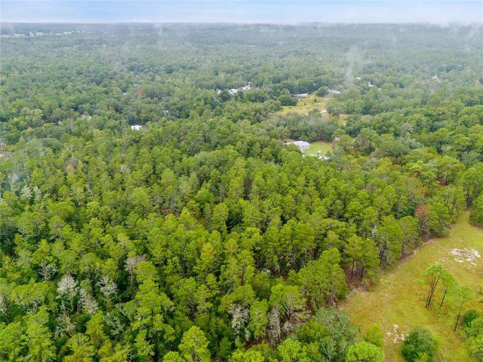 En Venta: $199,900 (5.00 acres)