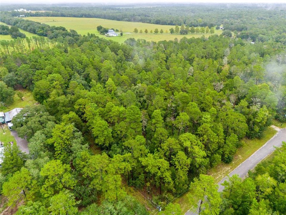 En Venta: $199,900 (5.00 acres)