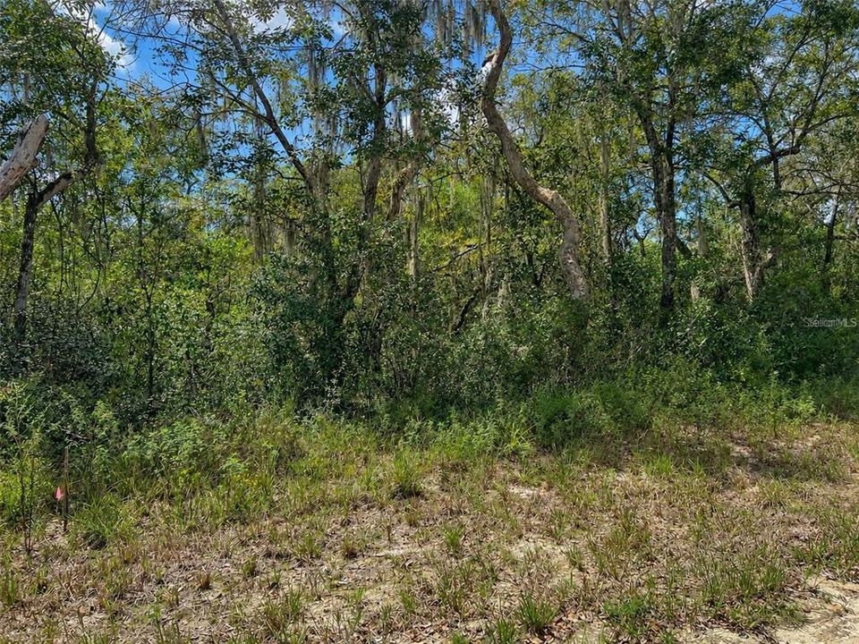 待售: $43,000 (1.16 acres)