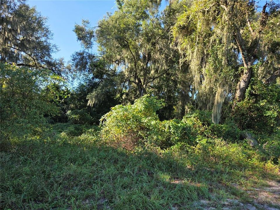 For Sale: $200,000 (6.50 acres)
