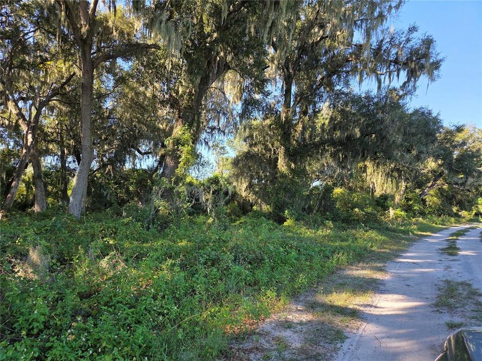 For Sale: $200,000 (6.50 acres)