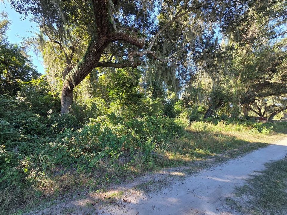 For Sale: $200,000 (6.50 acres)