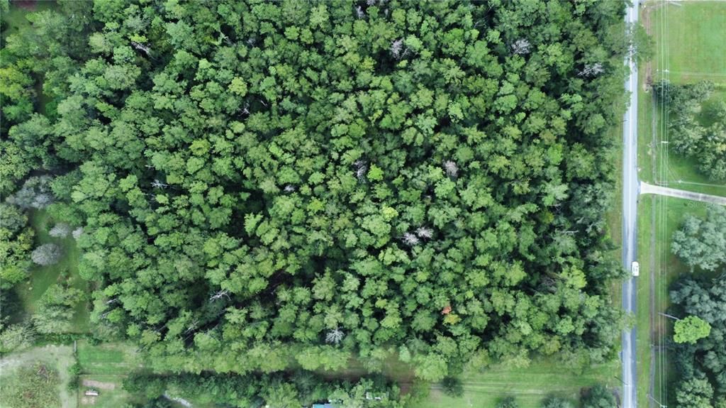 For Sale: $95,000 (5.00 acres)