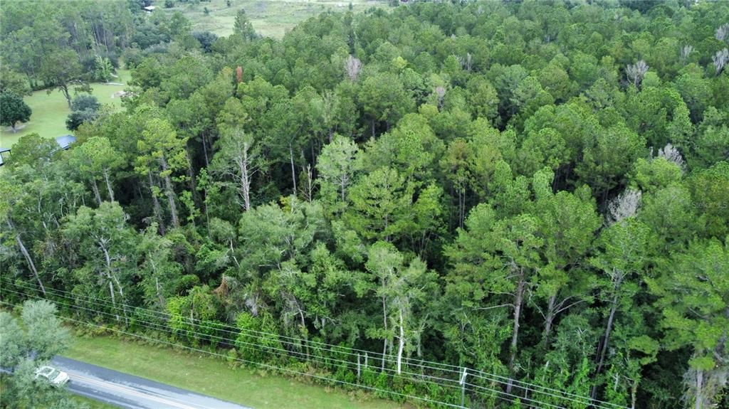 For Sale: $95,000 (5.00 acres)