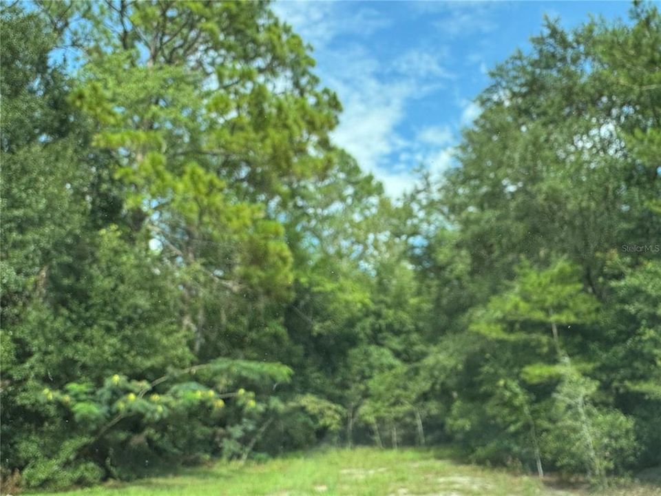 待售: $12,500 (0.24 acres)