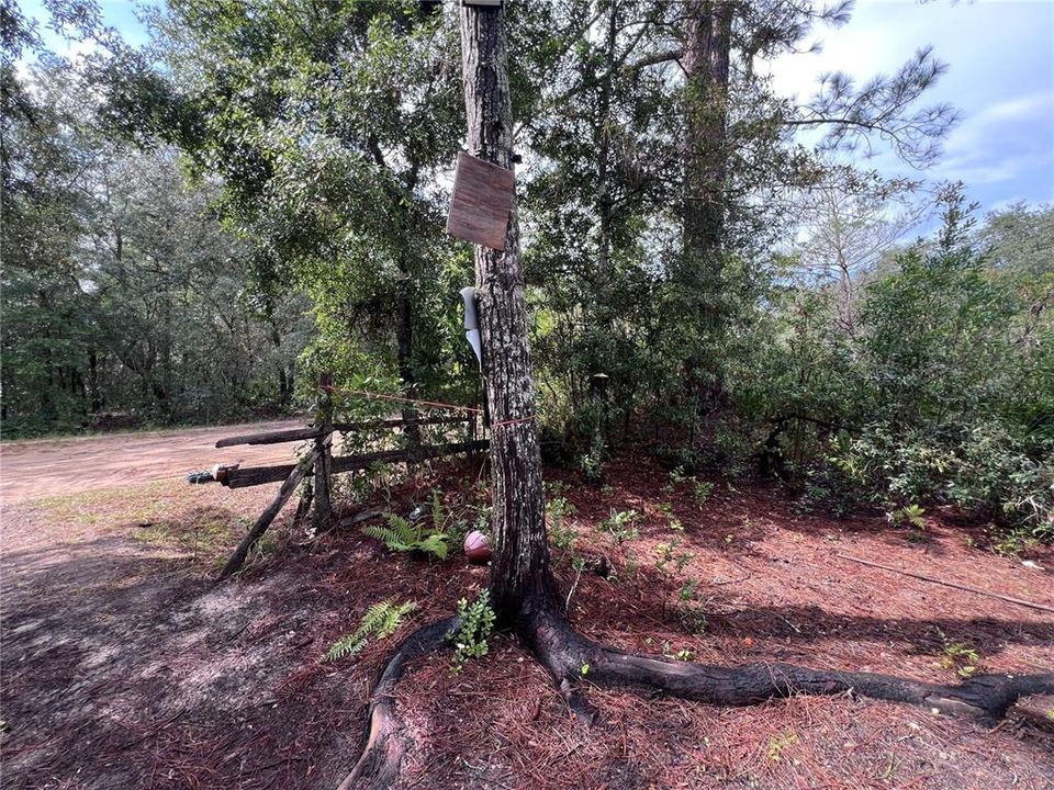 待售: $25,000 (0.22 acres)