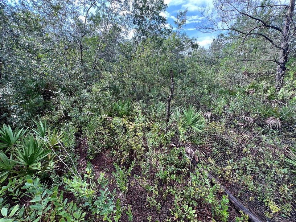 待售: $25,000 (0.22 acres)
