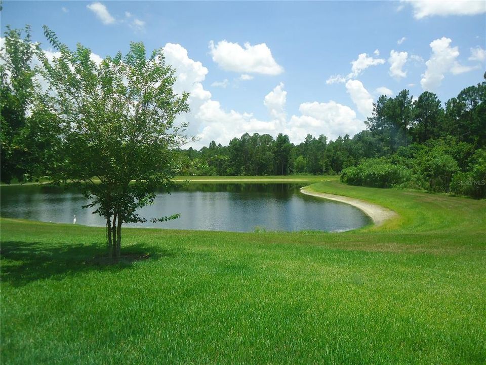 For Rent: $2,799 (4 beds, 3 baths, 2214 Square Feet)