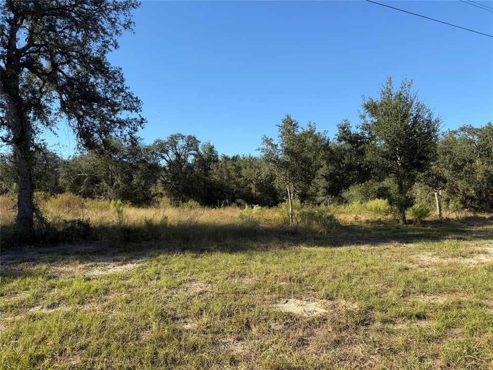 For Sale: $42,000 (1.36 acres)