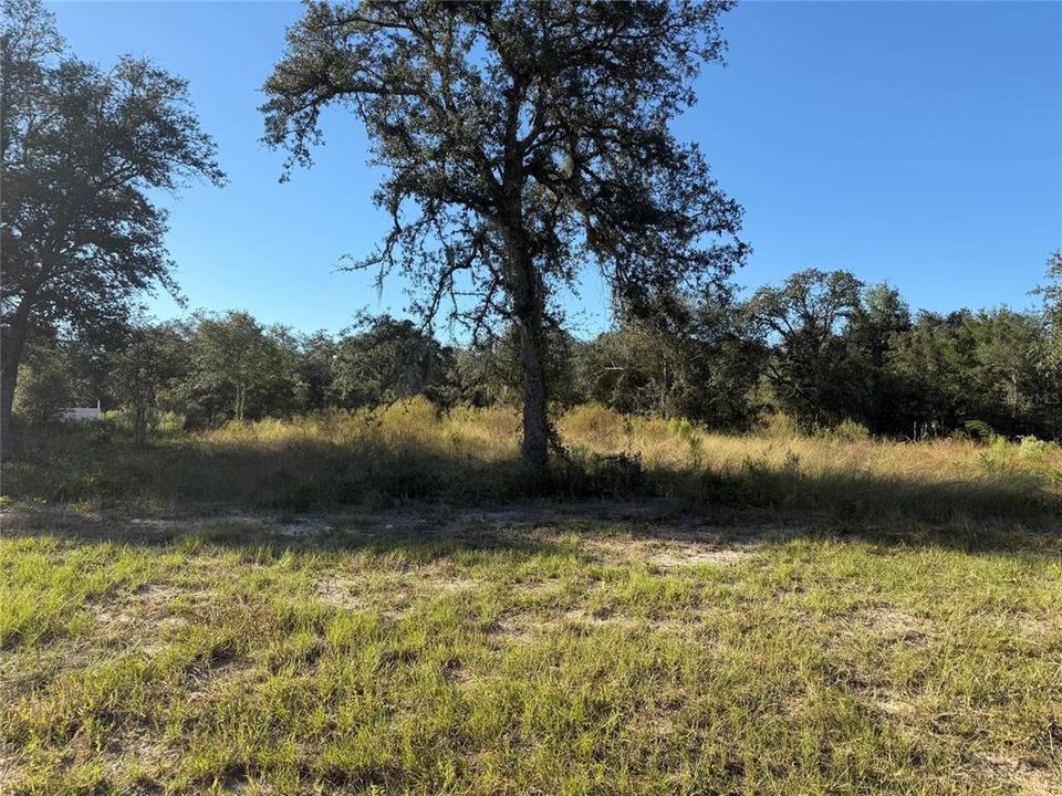 For Sale: $42,000 (1.36 acres)