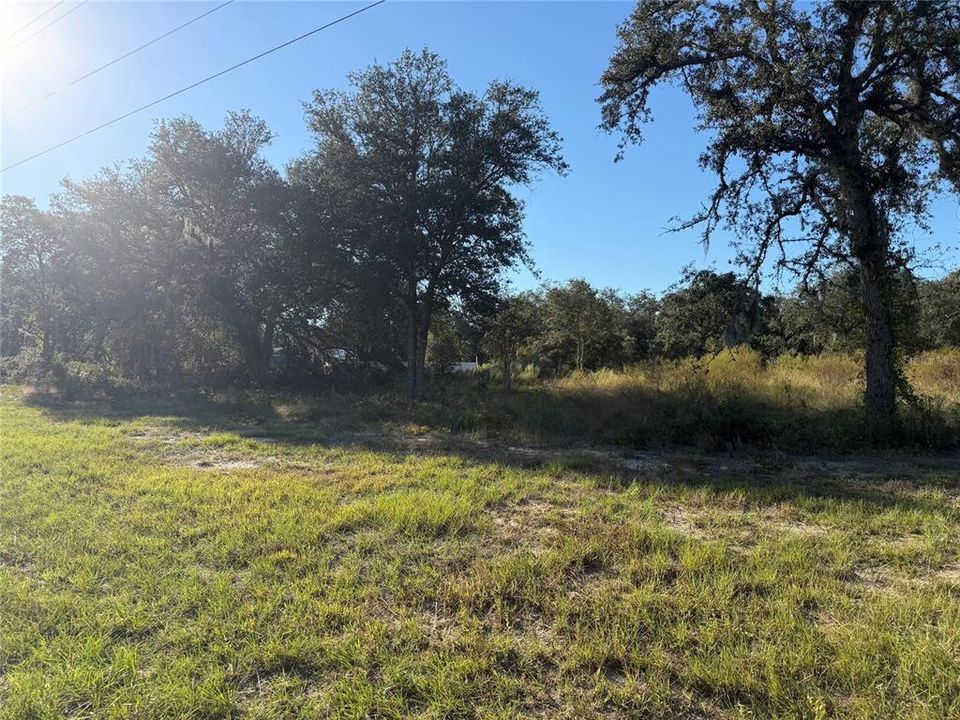 For Sale: $42,000 (1.36 acres)