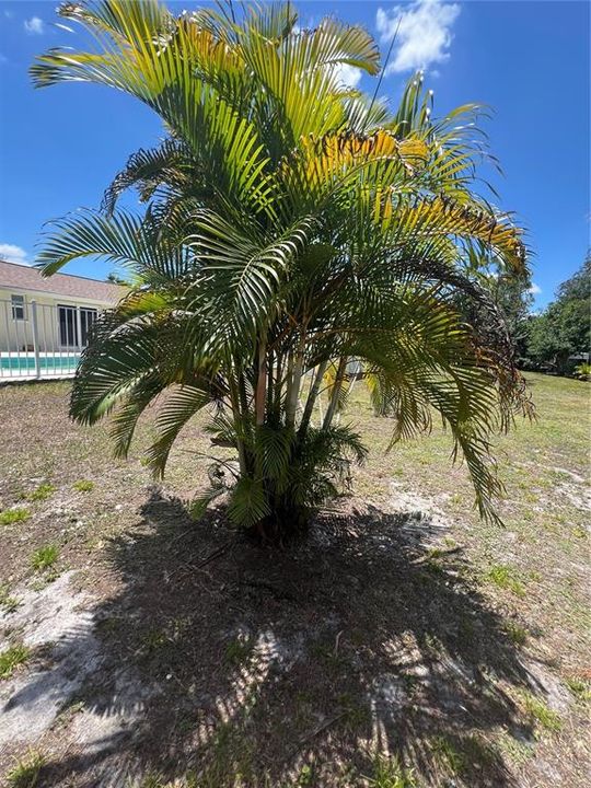 For Rent: $1,950 (2 beds, 2 baths, 1200 Square Feet)