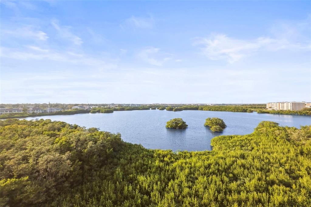 На продажу: $275,000 (2 спален, 2 ванн, 1195 Квадратных фут)
