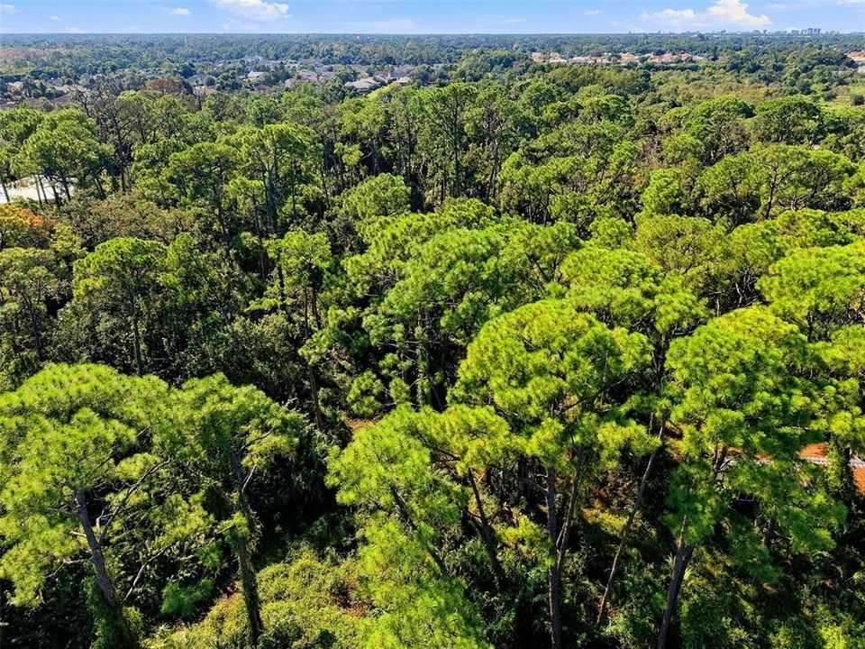 En Venta: $415,000 (5.00 acres)