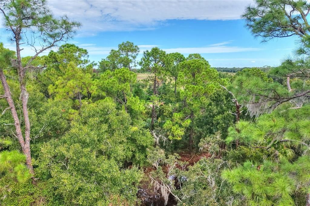 待售: $525,000 (11.47 acres)
