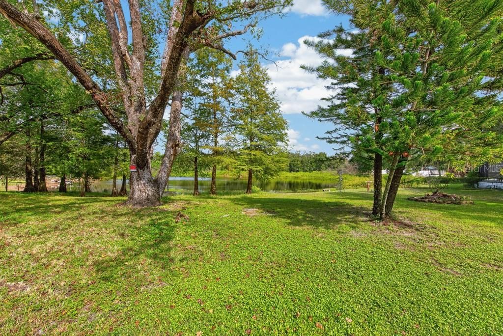 На продажу: $435,000 (3 спален, 2 ванн, 1907 Квадратных фут)