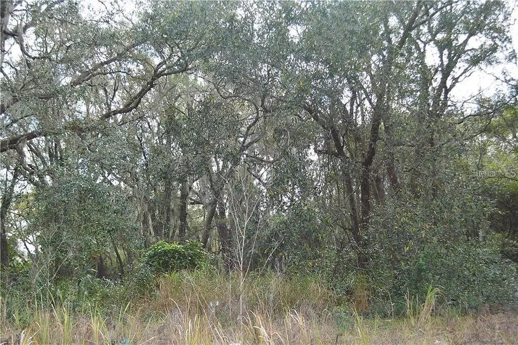 待售: $120,000 (0.45 acres)