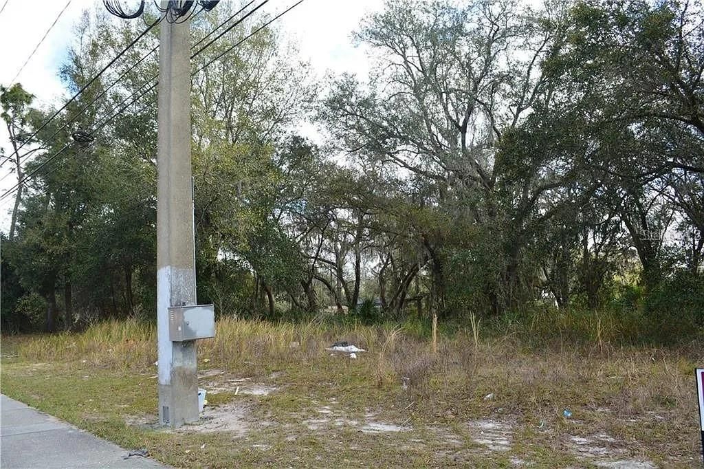 待售: $120,000 (0.45 acres)