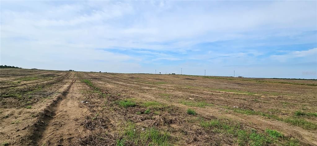 На продажу: $320,000 (10.08 acres)