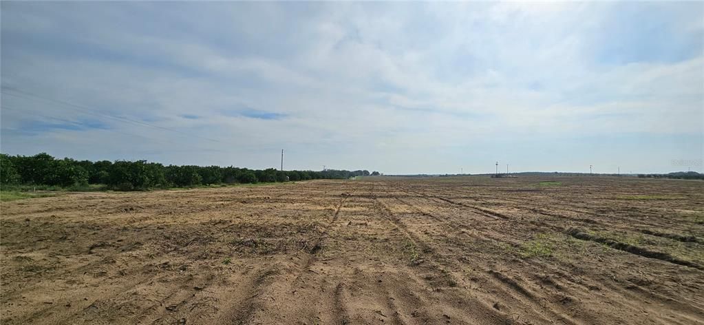 На продажу: $490,000 (15.36 acres)