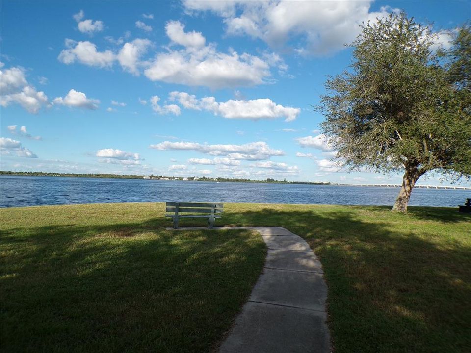 For Sale: $15,990 (0.23 acres)