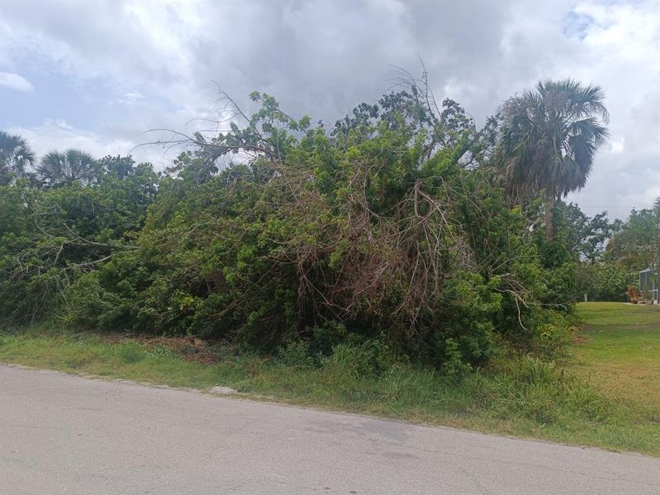 На продажу: $25,900 (0.23 acres)