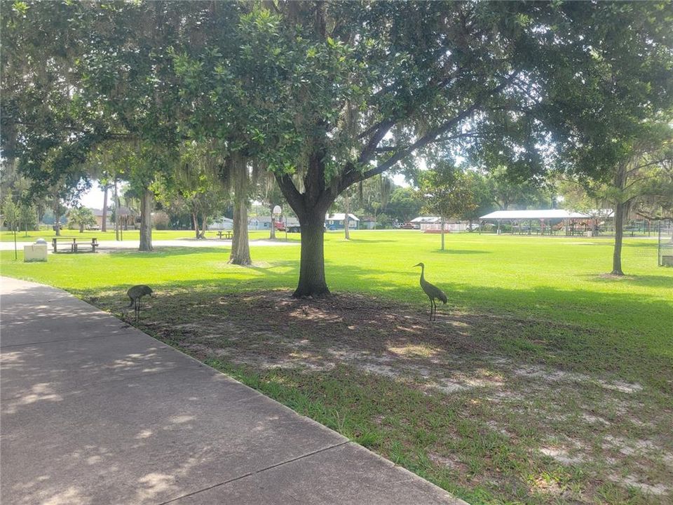 For Sale: $149,900 (0.34 acres)