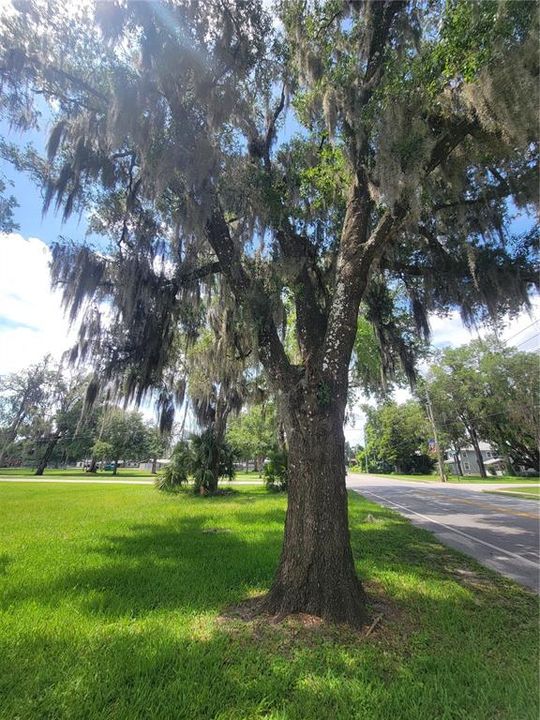 For Sale: $149,900 (0.34 acres)