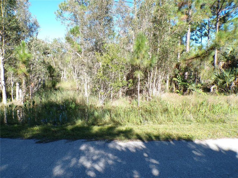 待售: $10,990 (0.17 acres)