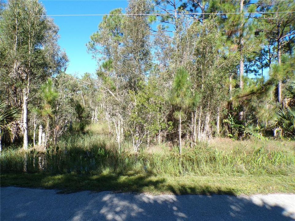 待售: $10,990 (0.17 acres)