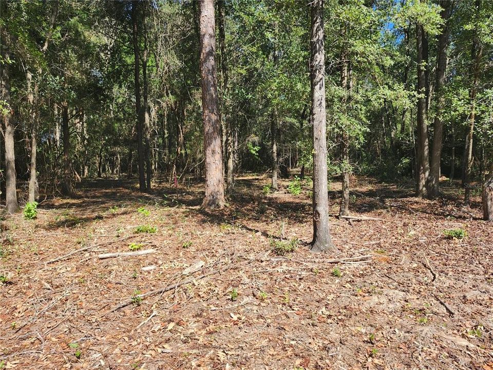 For Sale: $24,000 (1.46 acres)