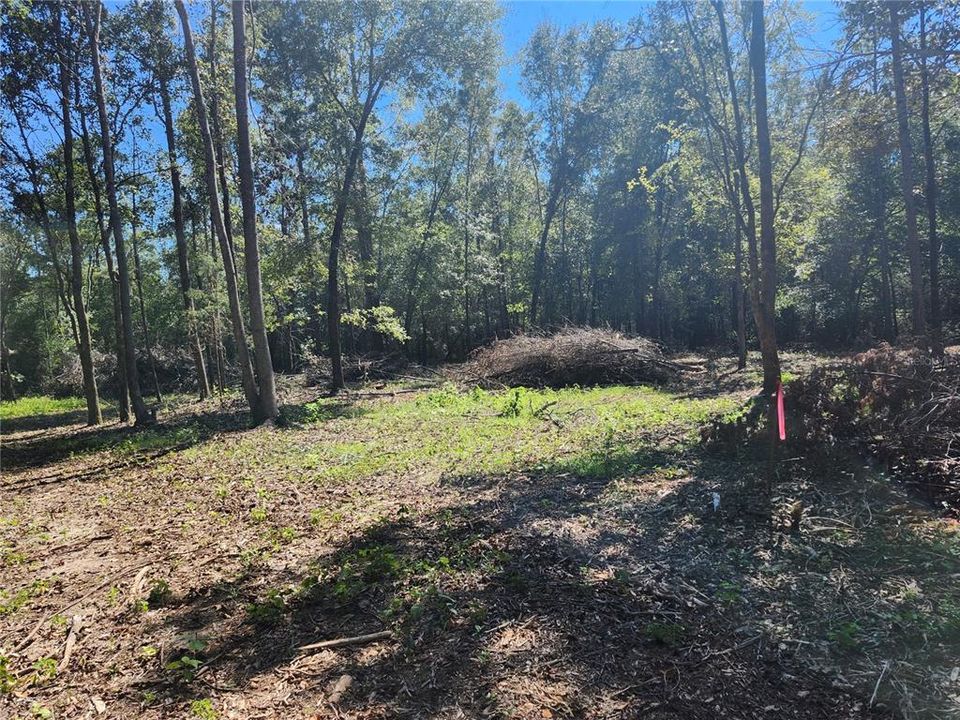 For Sale: $24,000 (1.46 acres)