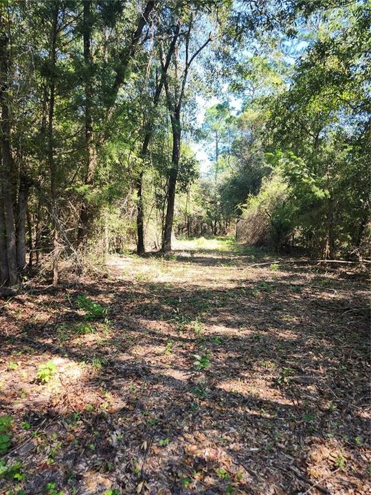 For Sale: $24,000 (1.46 acres)
