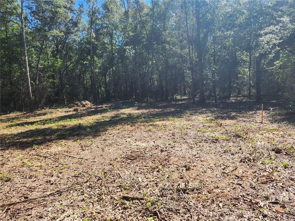 For Sale: $24,000 (1.46 acres)