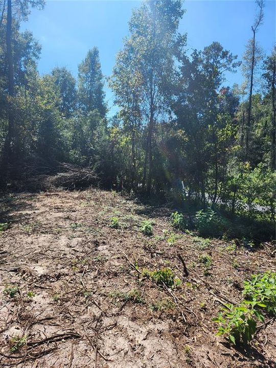 For Sale: $24,000 (1.46 acres)