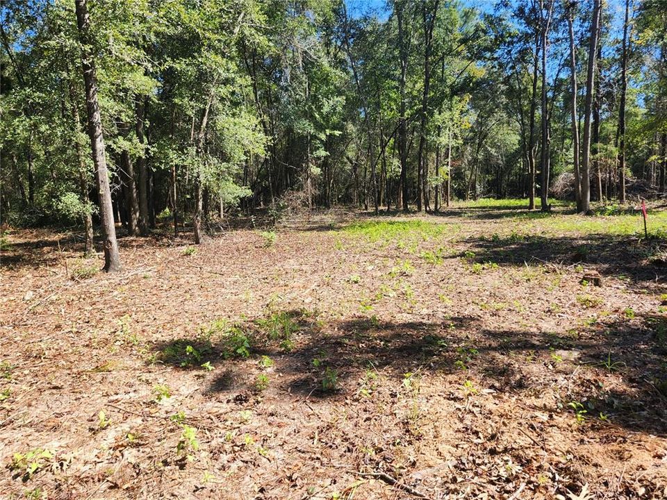 For Sale: $24,000 (1.46 acres)