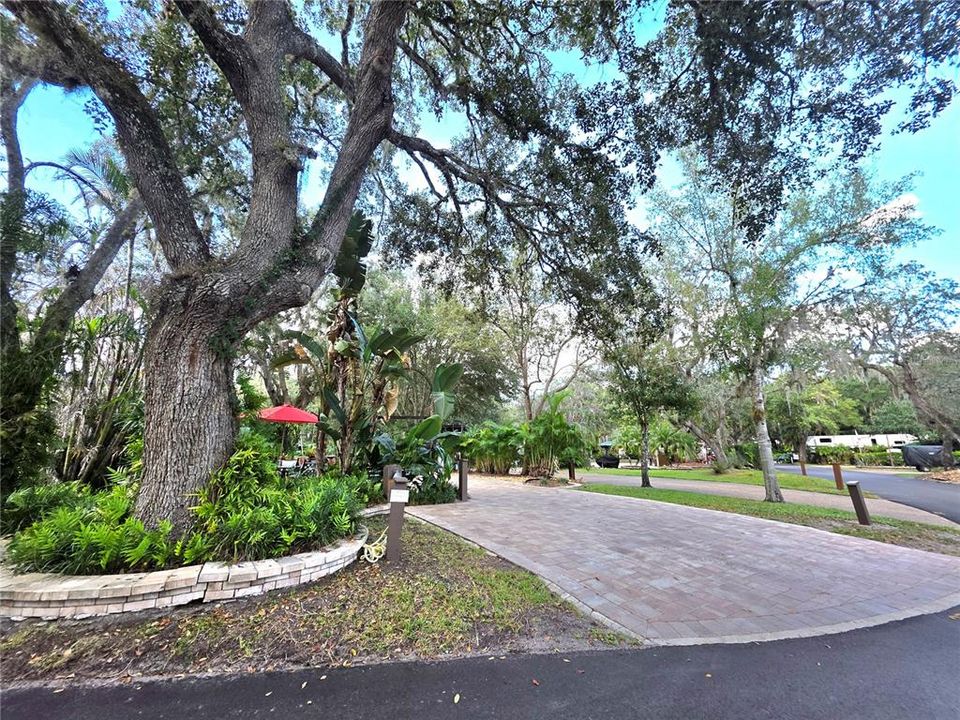 For Sale: $245,000 (0.09 acres)