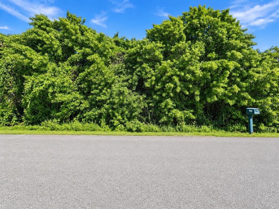 待售: $30,000 (0.23 acres)