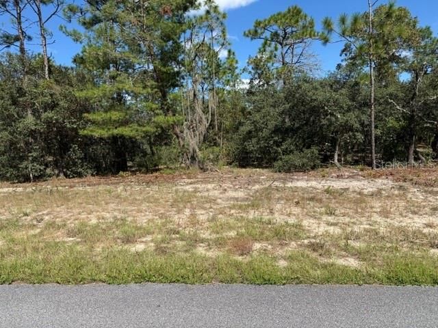 For Sale: $25,000 (0.23 acres)