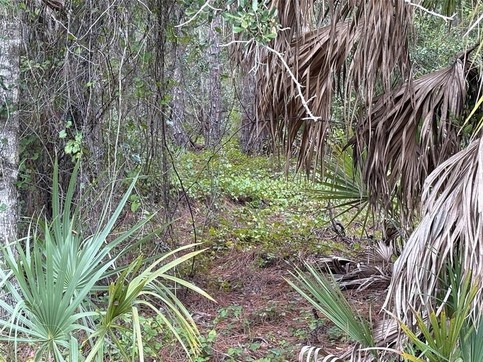 待售: $17,000 (0.23 acres)