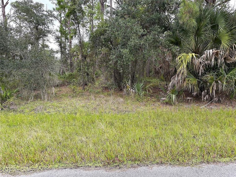 待售: $17,000 (0.23 acres)